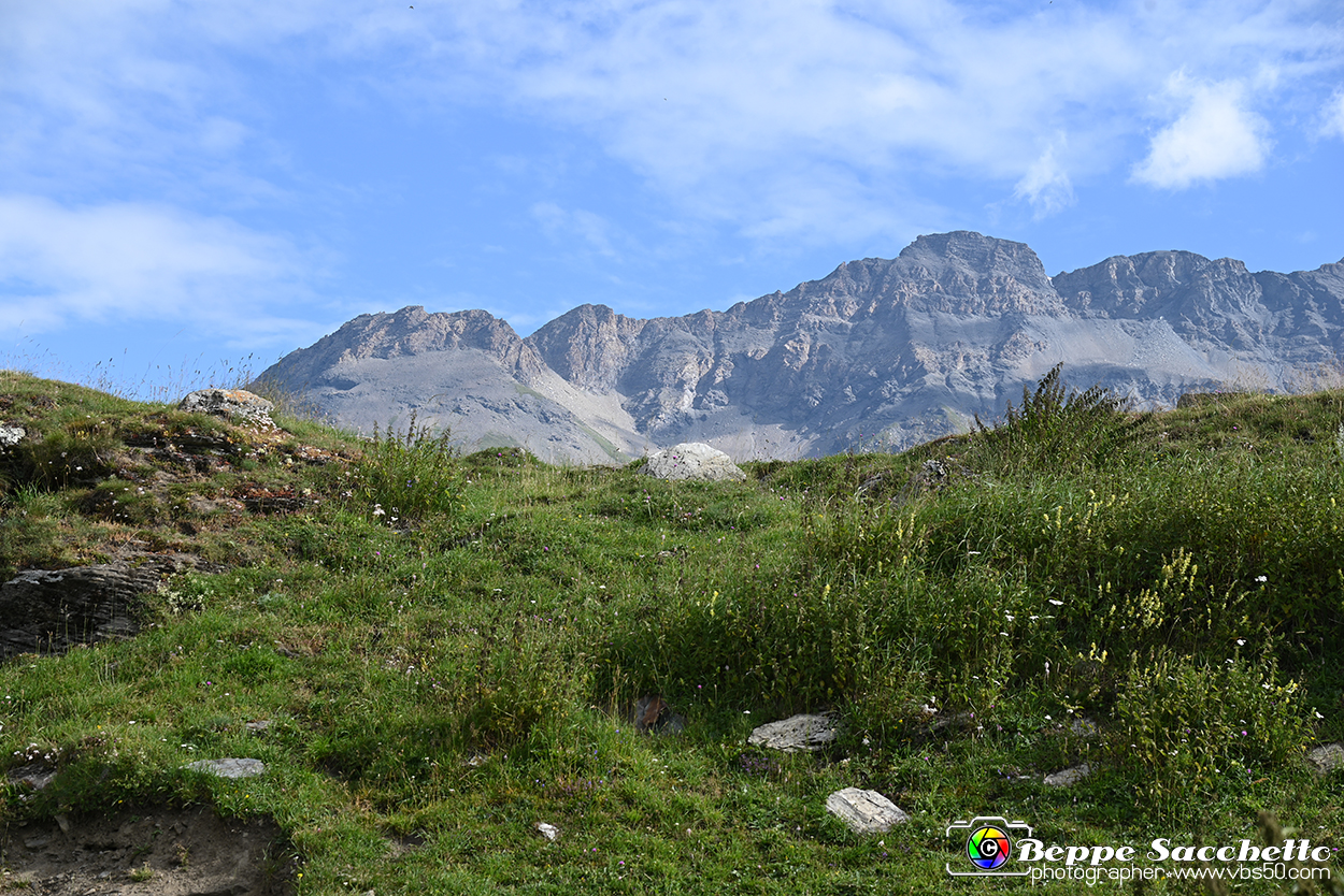 VBS_1 -  Plateau du Mont-Cenise, Grand Croix, Marmotte_-_0093 mt.jpg